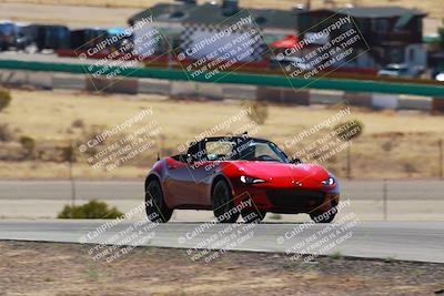 media/Mar-08-2025-Extreme Speed (Sat) [[4abb97269e]]/Blue/Turns 2  and  4 (Session 2)/